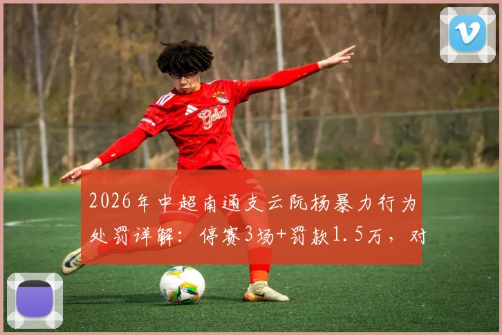 2026年中超南通支云阮杨暴力行为处罚详解：停赛3场+罚款1.5万，对球队有何影响